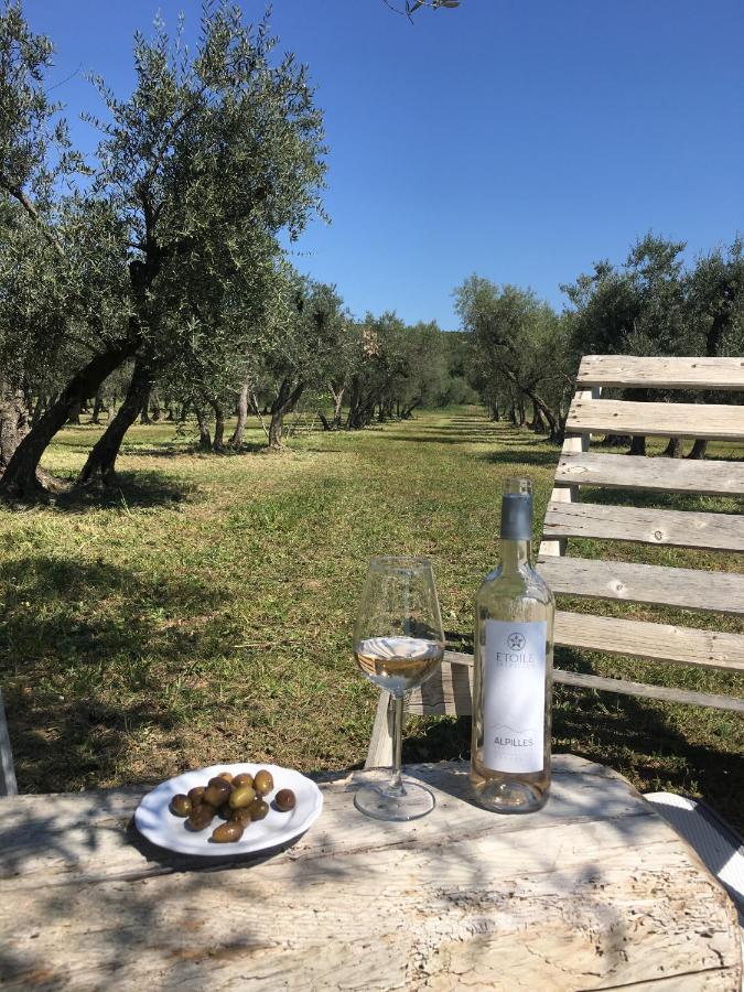 La Bergerie De Cigalon Bed & Breakfast Mouries Dış mekan fotoğraf
