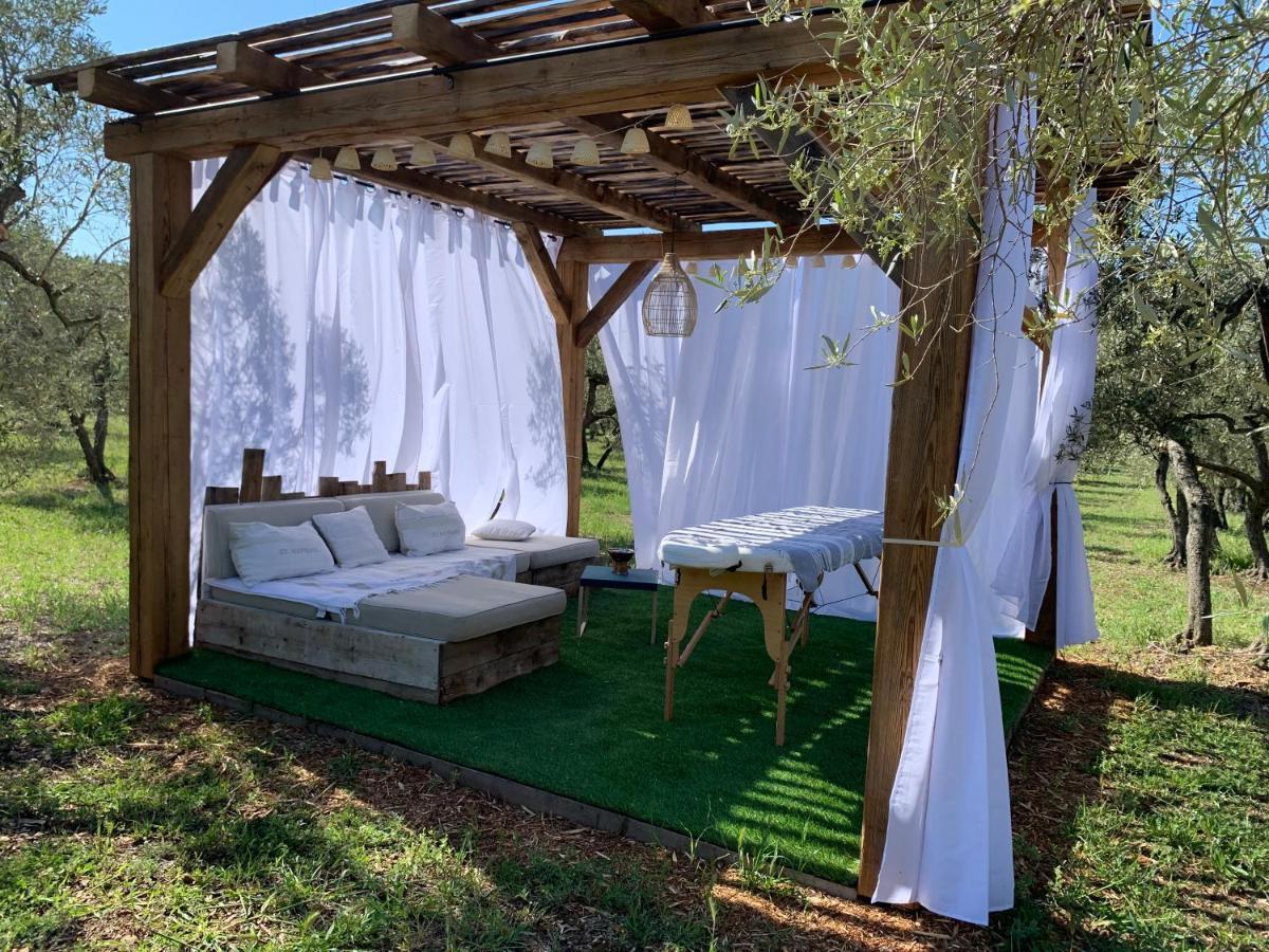 La Bergerie De Cigalon Bed & Breakfast Mouries Oda fotoğraf
